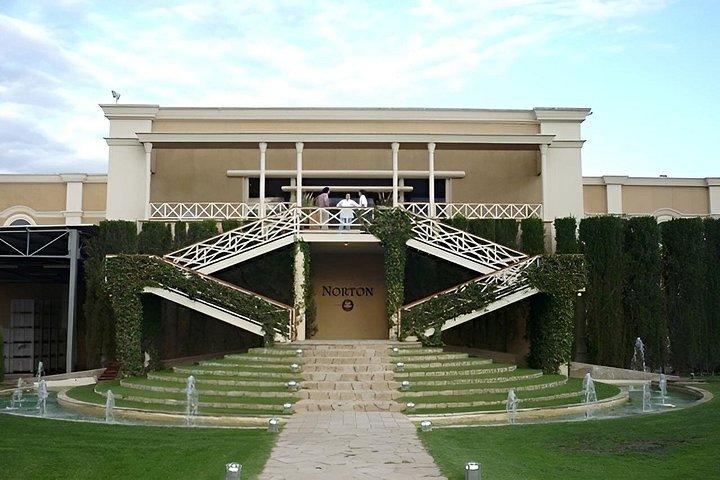 Exclusive Wine Tasting Tour Luján de Cuyo