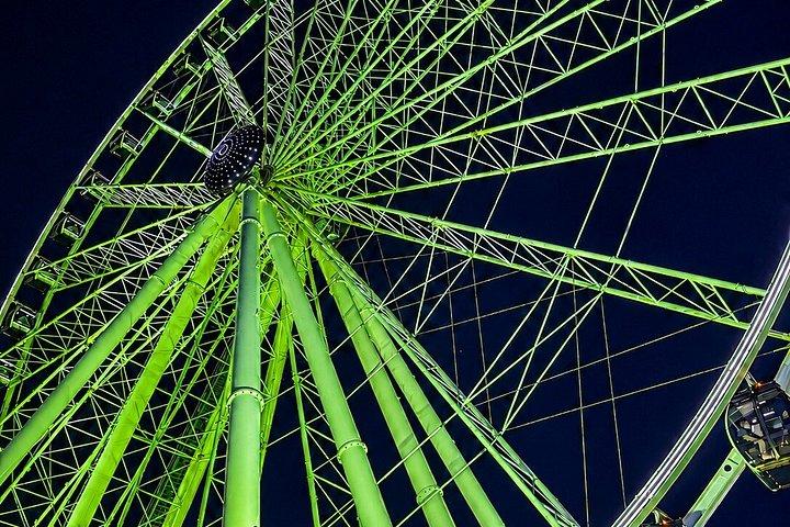 マイアミ：ライブガイド付きオープントップバス観光ナイトツアー