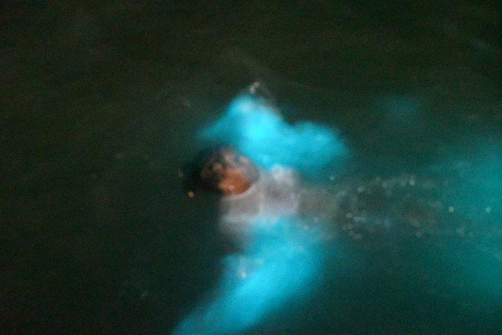 ピックアップ付きモンテゴ湾発生物発光ラグーンツアー