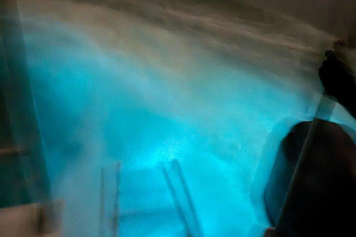ピックアップ付きモンテゴ湾発生物発光ラグーンツアー
