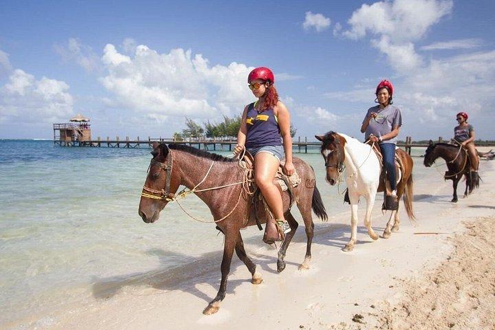 Roatán Horse Back Riding , Beach Break , Chocolate Rum Tasting