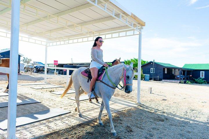 Authentic Aruba Morning Horseback Riding Tour