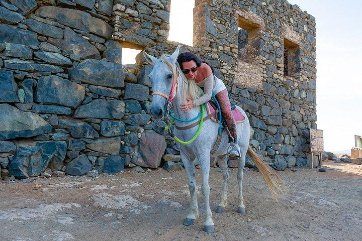 Authentic Aruba Morning Horseback Riding Tour