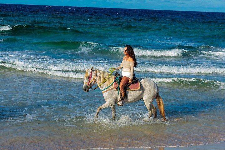 Authentic Aruba Morning Horseback Riding Tour
