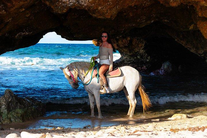 Authentic Aruba Morning Horseback Riding Tour