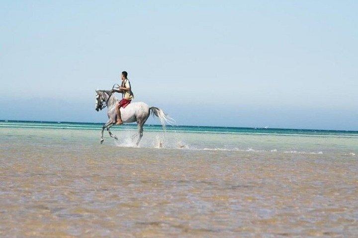 乗馬ナブクベイビーチ,砂漠の日の出&サンセット-シャルムエルシェイク