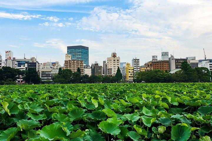 東京：上野公園、東照宮＆アメ横フードウォーク