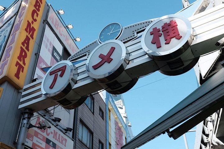 東京：上野公園、東照宮＆アメ横フードウォーク