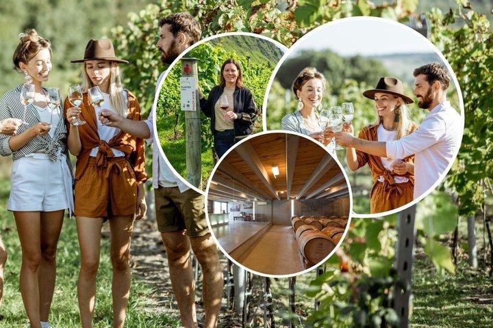 Queenstown Afternoon Wine Tour: Gibbston Valley | NZ Local Guide