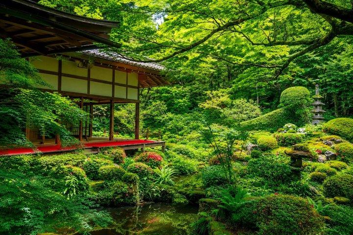 プライベート京都ツアー：嵐山、金閣寺、北部京都