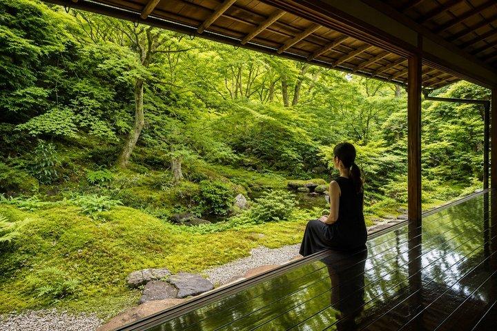 プライベート京都ツアー：嵐山、金閣寺、北部京都