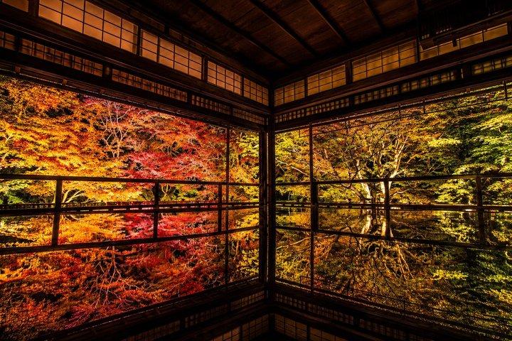 プライベート京都ツアー：嵐山、金閣寺、北部京都