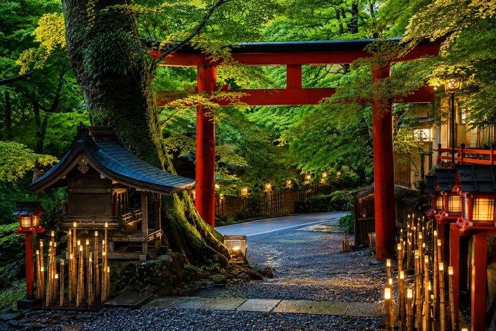 プライベート京都ツアー：嵐山、金閣寺、北部京都