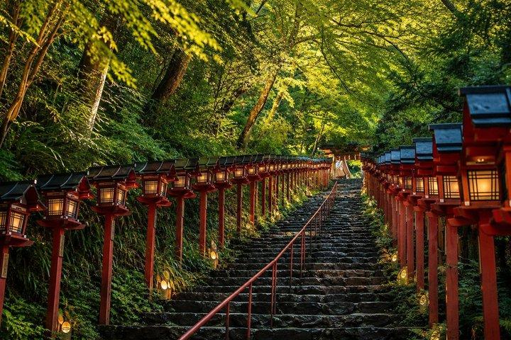 プライベート京都ツアー：嵐山、金閣寺、北部京都