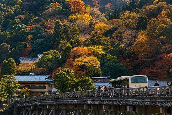 プライベート京都ツアー：嵐山、金閣寺、北部京都