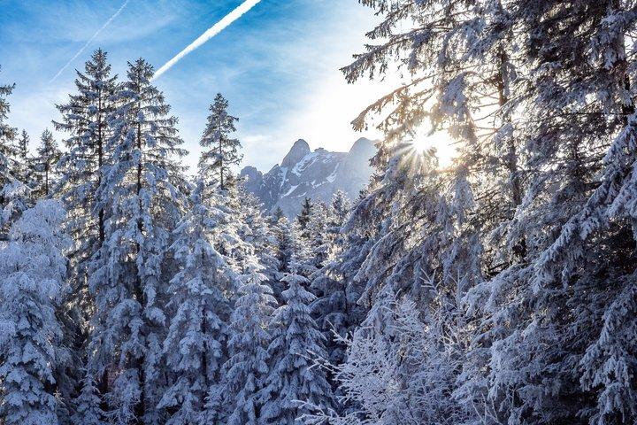 クリエンス発ピラトゥス山ゴンドラと空中ケーブルウェイのチケット
