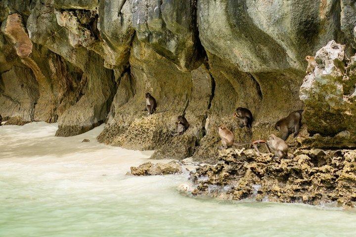 Phi Phi y la isla de la bahía Maya