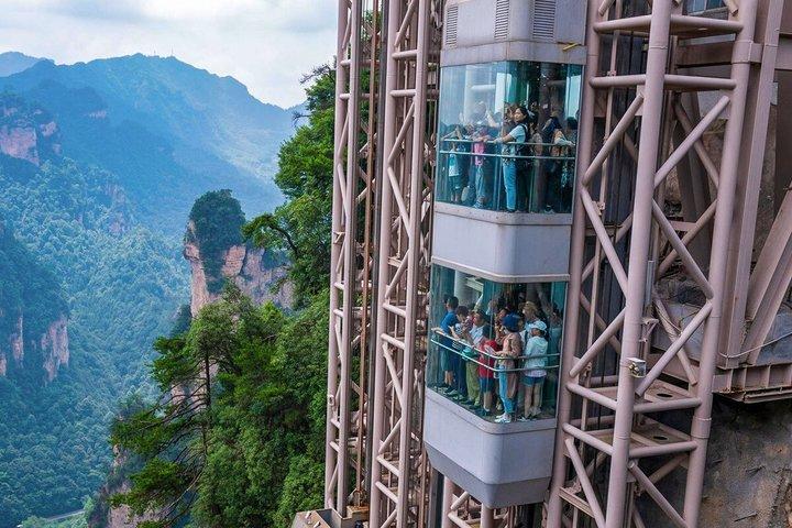 1 - Día Mejores Mini Tours en Grupo y Privados al Monte Avatar y Forest Park