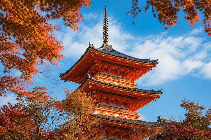 京都 10時間 プライベート着物文化ツアー
