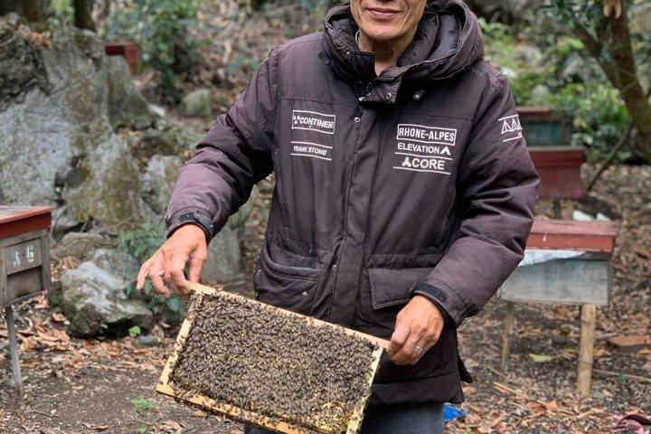 Tour di un giorno del Parco nazionale Cat Ba e del villaggio di Hien Hao