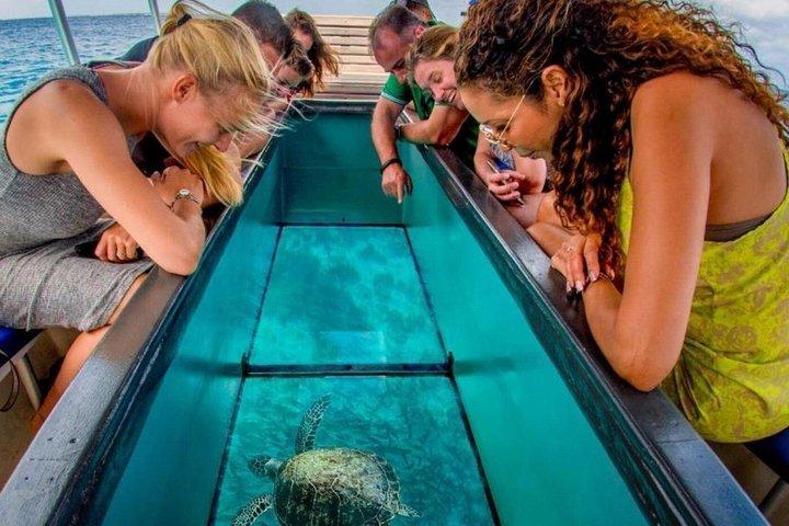 Nha Trang Island Escape with Snorkeling BBQ Lunch and Mud Bath