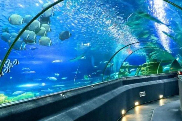 ニャチャン：隠れた宝石と人気の観光スポットで最高の街