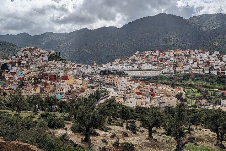 メクネスで現地ガイドとフェスから行くメクネスとボルビリス日帰り旅行