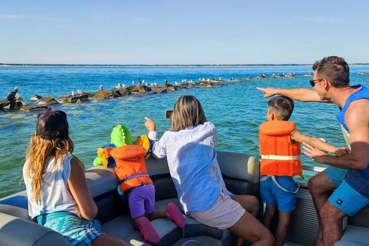 Wellfleet Harbor Seal Cruise Pequeno grupo passeio de barco em Cape Cod