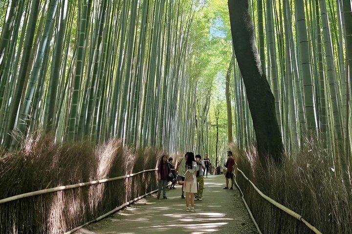 京都の見どころ英語ガイドとホテル送迎付きプライベートツアー