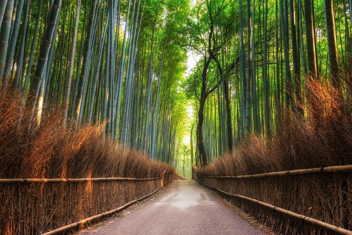 京都の見どころ英語ガイドとホテル送迎付きプライベートツアー