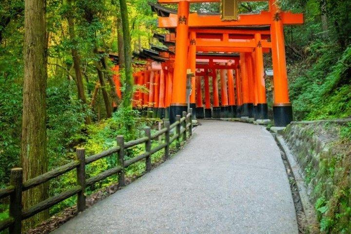 京都の見どころ英語ガイドとホテル送迎付きプライベートツアー