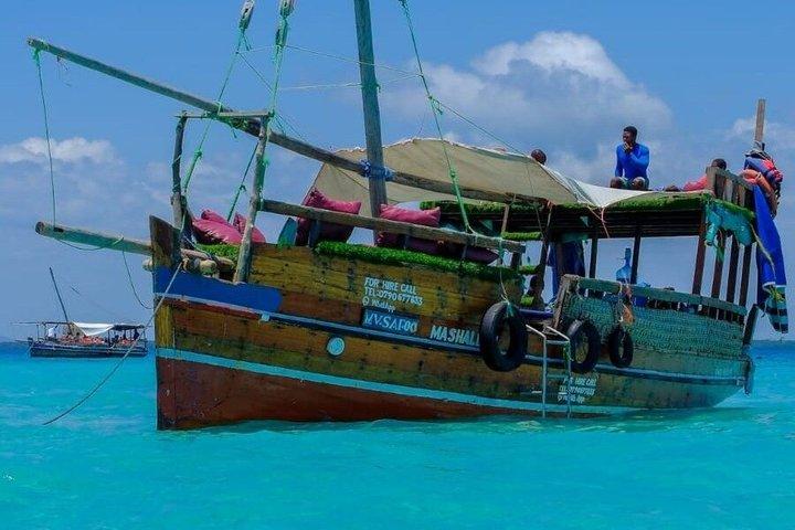 Excursión de 1 día en delfín Wasini desde la playa de Diani