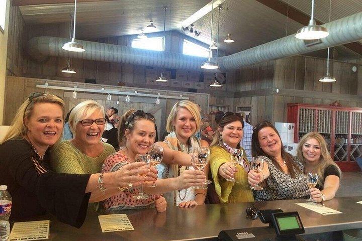 Private 6 Hour Winery Experience in Fredericksburg