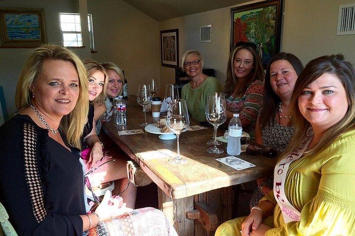 Private 6 Hour Winery Experience in Fredericksburg