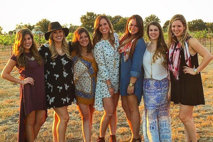 Private 6 Hour Winery Experience in Fredericksburg