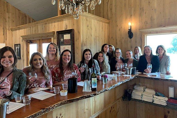 Private 6 Hour Winery Experience in Fredericksburg