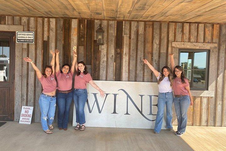 Private 6 Hour Winery Experience in Fredericksburg