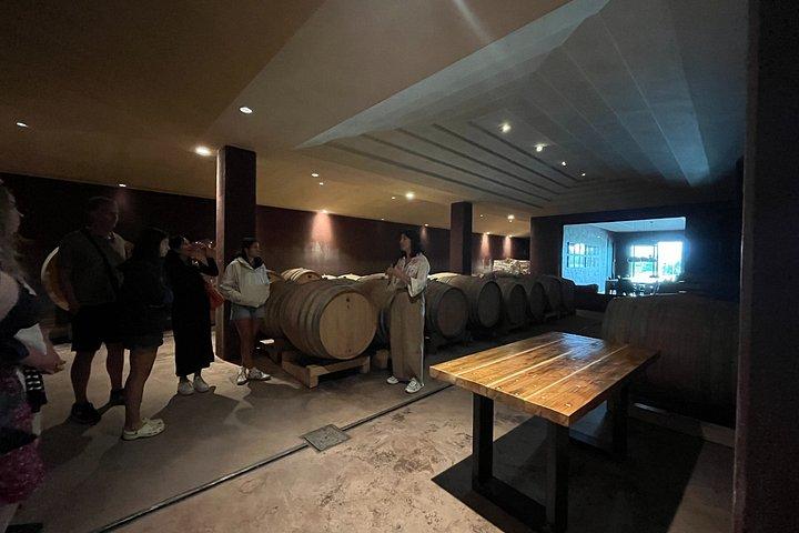 ガルダ湖：ワインツアー＆バルドリーノエリアでのテイスティング体験