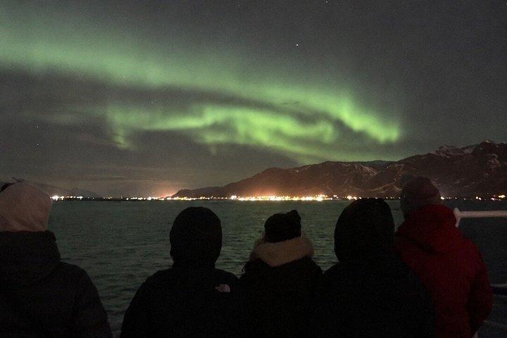 Croisière aurore boréale au départ de Reykjavik avec essai gratuit