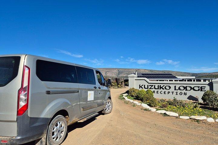 Transfers To and From Various Types of Accommodation