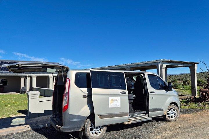 Transfers To and From Various Types of Accommodation