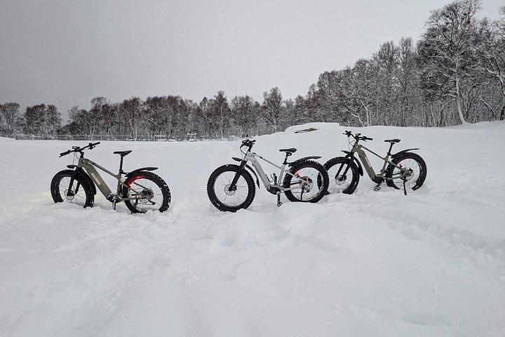 Electric Fat Bike tour in Tromsø
