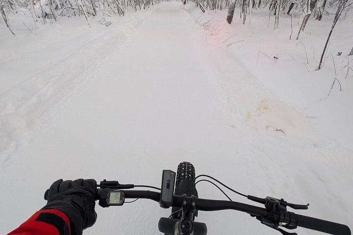 Electric Fat Bike tour in Tromsø
