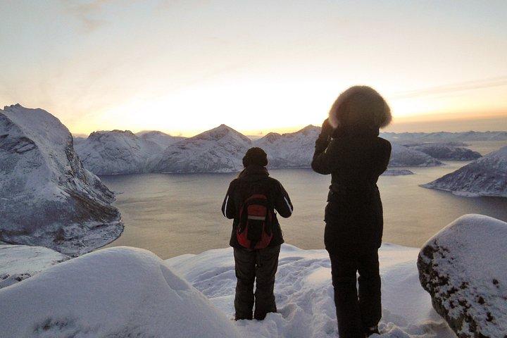 Sightseeing and hike with Tromso Outdoor