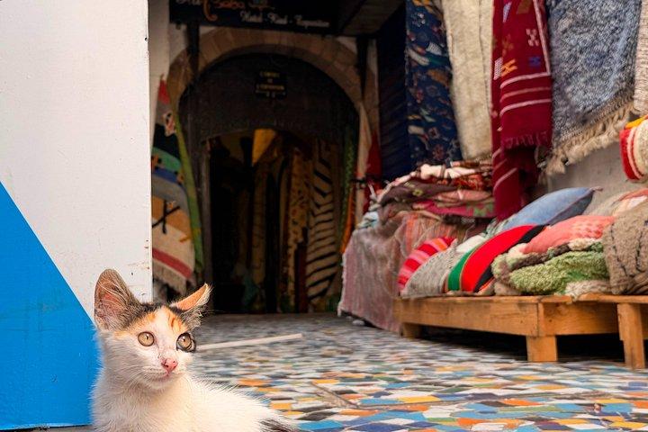 Essaouira Day Trip Check-out DE Marrakech