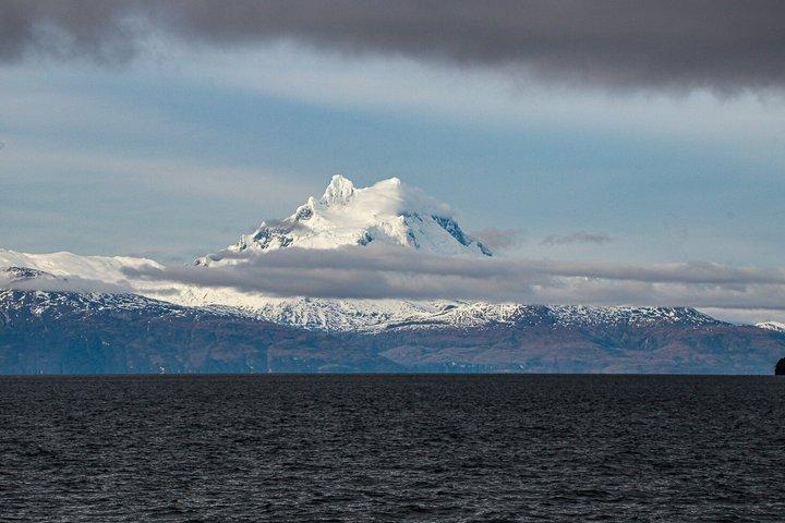 氷河ルート:パタゴニアのフィヨルドを巡る航海