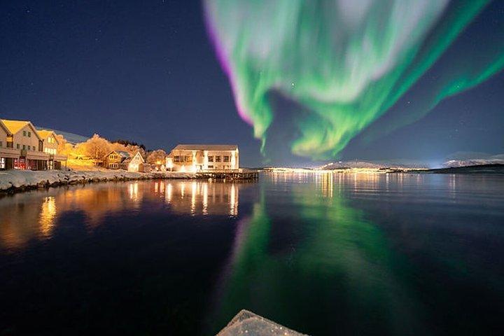 少人数グループでのオーロラ追跡とキャンプファイヤーディナー、写真撮影