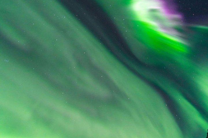少人数グループでのオーロラ追跡とキャンプファイヤーディナー、写真撮影