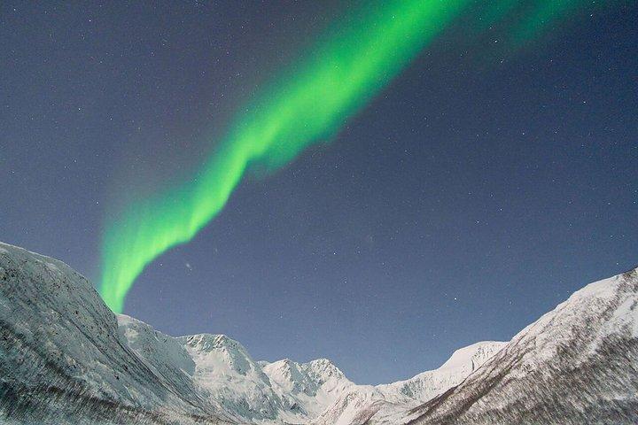 少人数グループでのオーロラ追跡とキャンプファイヤーディナー、写真撮影