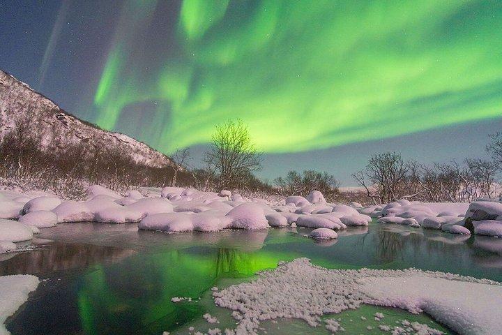 少人数グループでのオーロラ追跡とキャンプファイヤーディナー、写真撮影